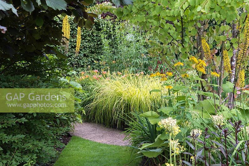 A clump of ligularia, golden grasses and daylilies is glimpsed through a gap in the planting.