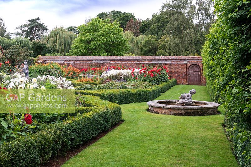 A view of a formal box parterre mass planted with dahlias and central pool and triton statue. 