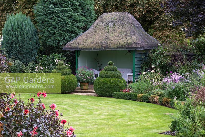 Thatched summerhouse with box topiary domes, in autumn garden, September.