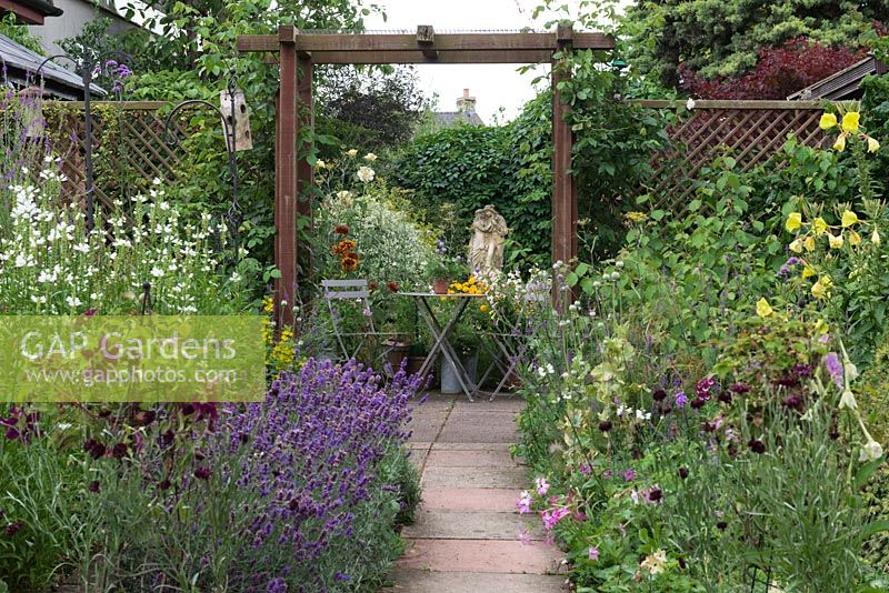 Small town garden divided into areas with trellis screens, mixed beds with fragrant lavender.
