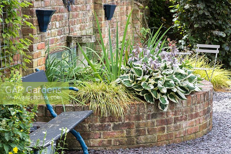 A half moon raised brick bed planted with Hosta and ornamental grasses.