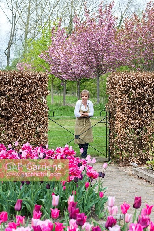 Philippa Burrough looks over the gate leading to a meadow. Behind, cherry trees in blossom.