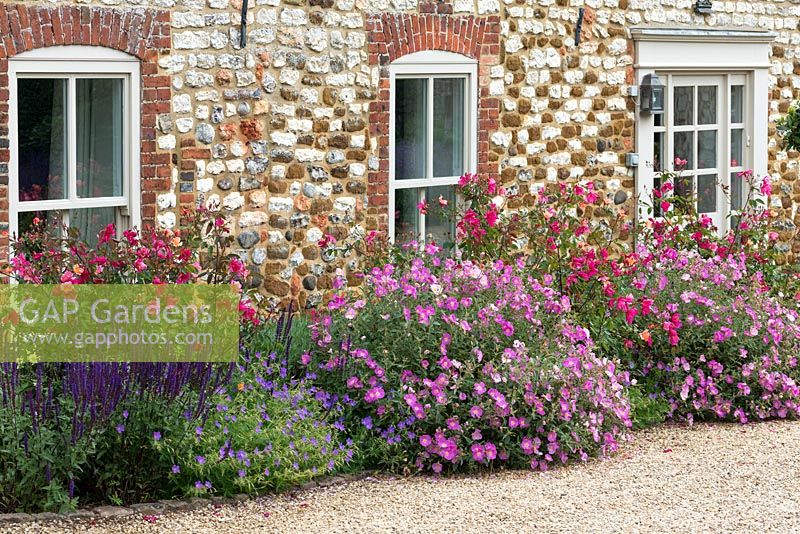 The original cottage facade flanked by a border of Rosa x odorata 'Mutabilis', salvia, hardy geranium and Cistus x argenteus 'Peggy Sammons'.