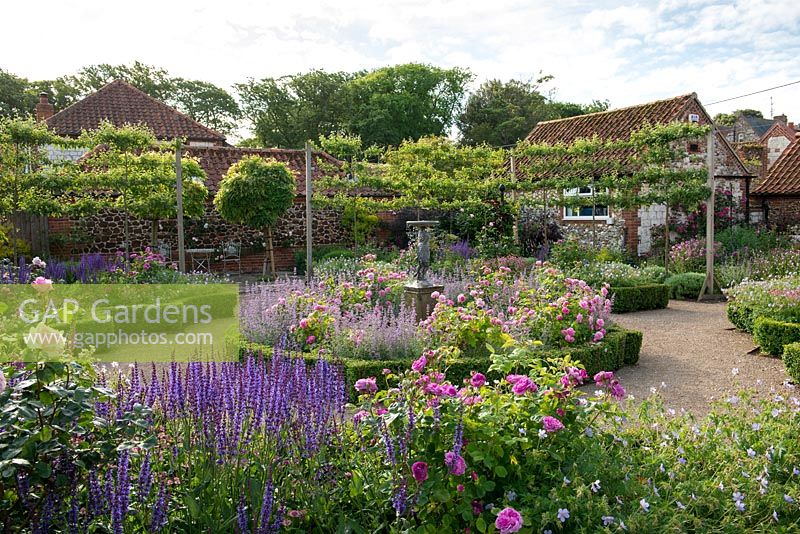 Seen over bed of Salvia, hardy Geranium and Roses, a formal, box edged, sunken rose parterre. Central bed of Rosa 'Louise Odier' and Nepeta 'Walker's Low'. Pleached crab apple trees contain space.