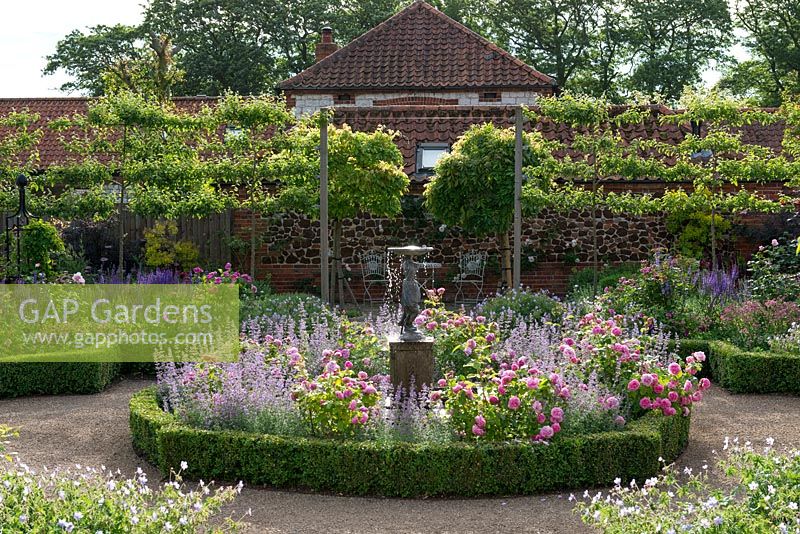 A formal box edged, sunken rose parterre, with a central bed of Rosa 'Louise Odier' and Nepeta 'Walker's Low'. Pleached crab apple trees contain space.
