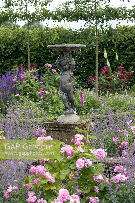 A cherub fountain, rising above Catmint and Roses.