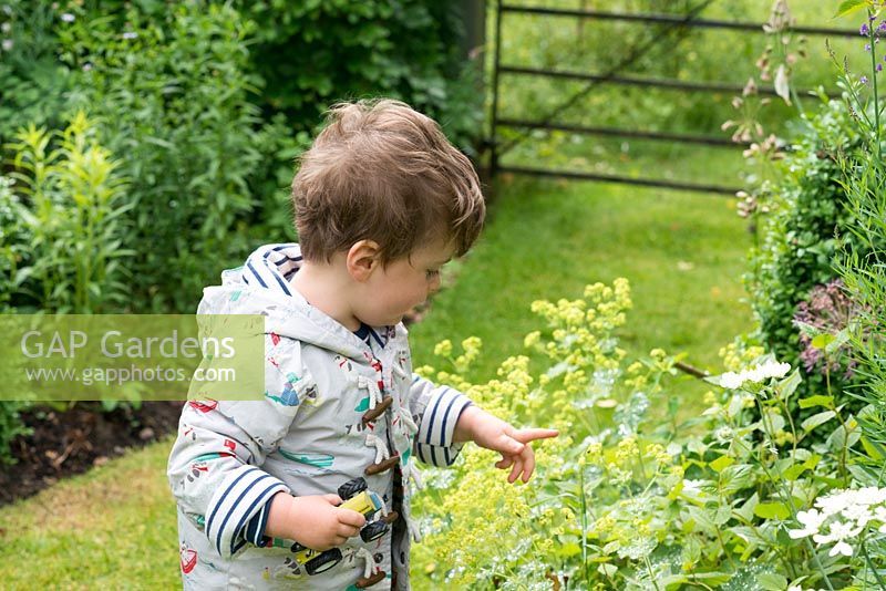 Sue and Clive Lloyd's grandson, two-year-old  Albert, points at an insect in their garden.