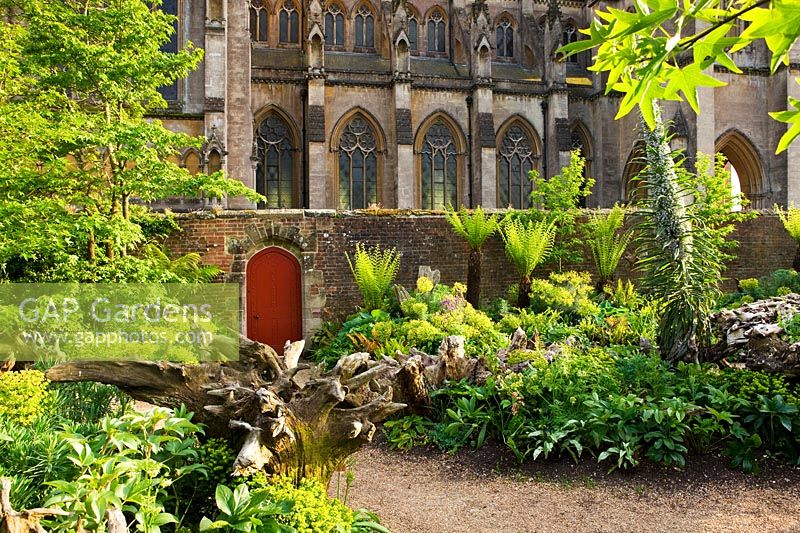 The Stumpery, Arundel Castle, West Sussex, May