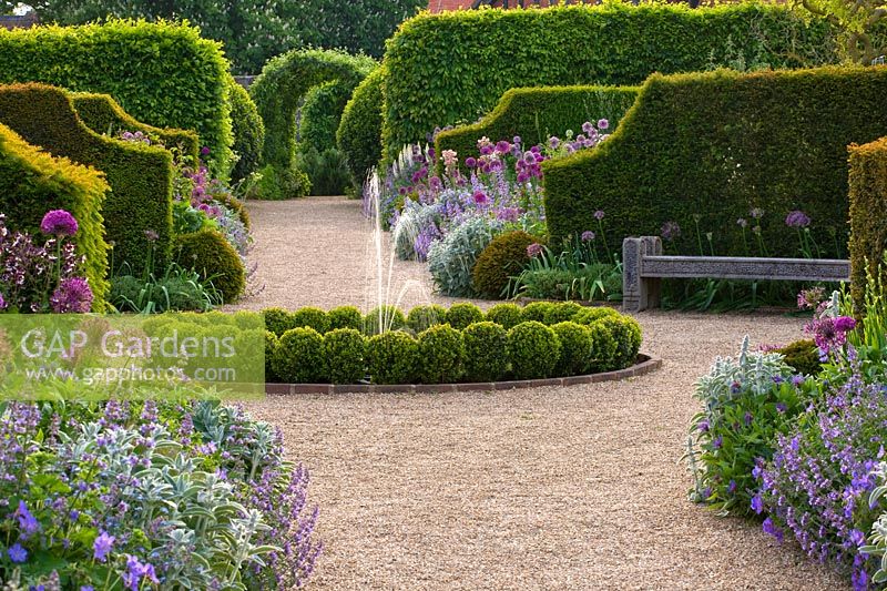 Path to fountain with Box balls, Alliums and Yew hedges, The Collector Earls garden, Arundel Castle, West Sussex, May
