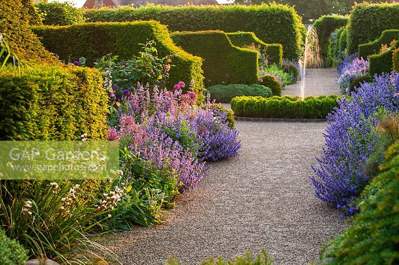 Borders of Nepeta 'Six Hills giant' and Alliums with Yew hedging - Arundel Castle, West Sussex, June
