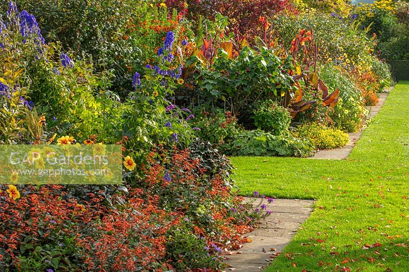 Border with Aconitums, Dahlia 'Moonfire', Salvia elegans 'Honey Melon' - Bourton House Garden, Gloucestershire