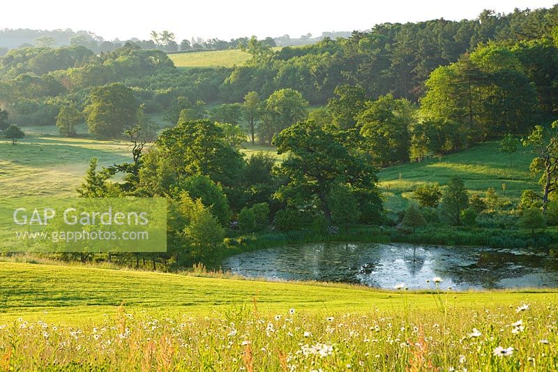 Wildflower meadow, lake and countryside, Brockhampton, Herefordshire