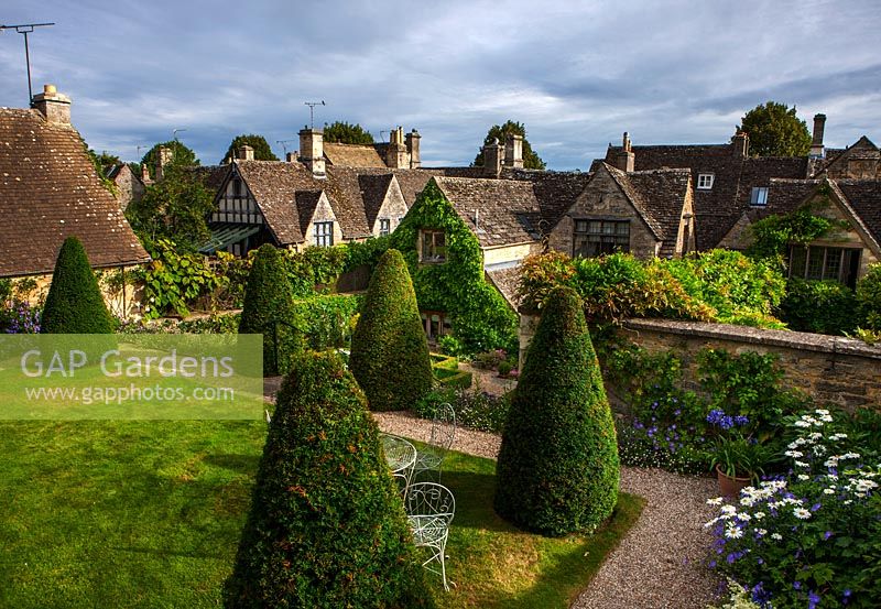 Lawn with yew cones and 'Shasta' daisies, Burford, Oxfordshire. 