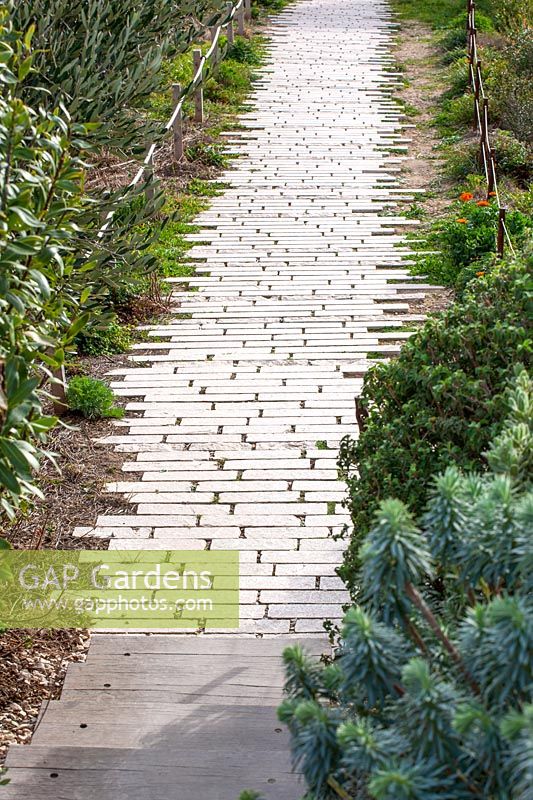 Stone brick path with mediterranean planting, Jardin de Migrations, Saint Jean, Marseilles, France, February.
