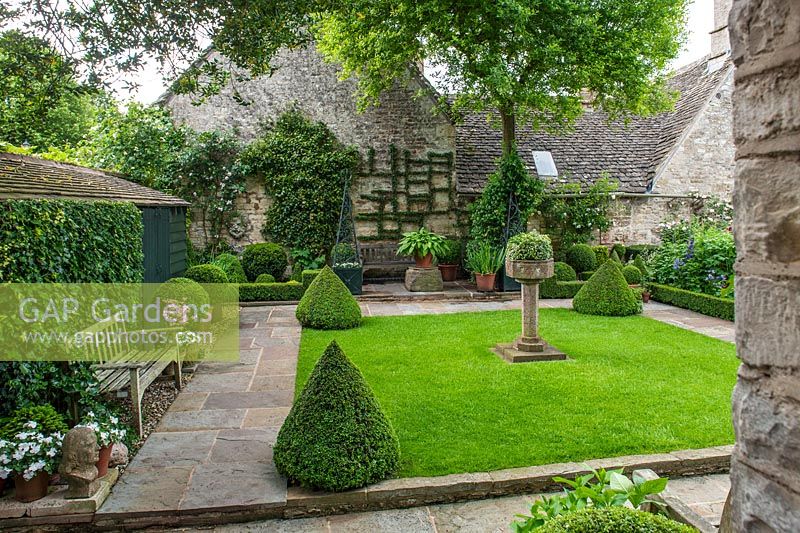 Formal lawn with box pyramids and stone paths, Oxfordshire, June.