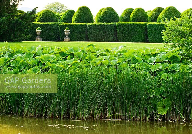View towards the white garden across the moat to clipped topiary hedges