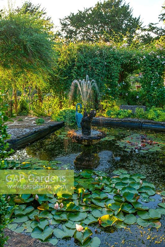 Lily pond with 'Cherub' fountain and bronze heron sculpture