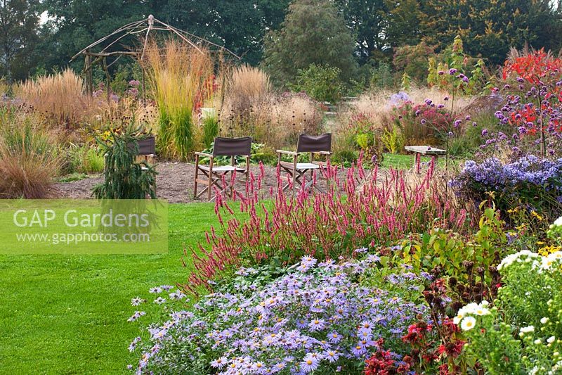 Garden view of flower beds with Aster x frikartii 'Monch', Persicaria amplexicaulis 'Atrosanguinea'. Plus chairs facing bed of grasses, wooden gazebo 