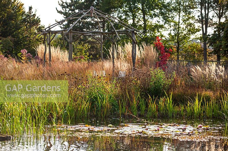 Natural swimming pool in countryside setting with wooden rustic gazebo surrounded by grasses