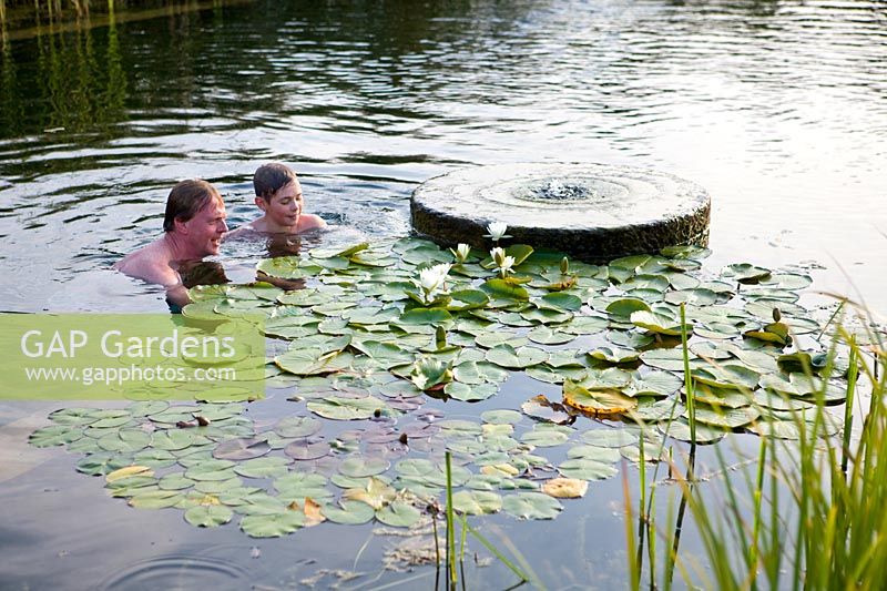 Man and boy in 'natural' swimming pool looking at waterlilies