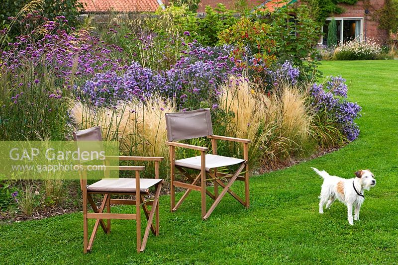 Lawn with seats and pet dog, with perennial border of grass Stipa tenuissima, Aster 'Little Carlow' and Verbena bonariensis.