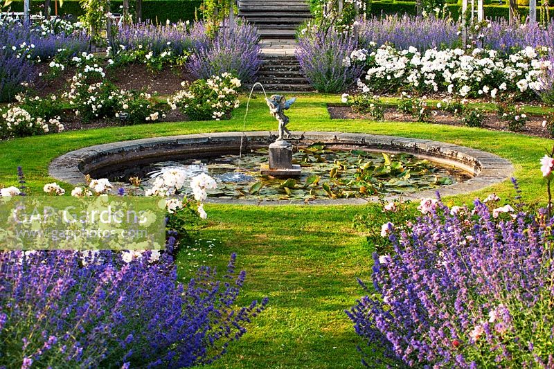 Round pond with statue surrounded by rose beds edged with Nepeta faassenii - catmint
