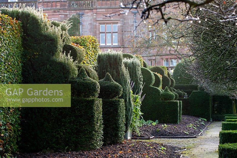 Topiary hedges at Holker Hall, Cumbria. 