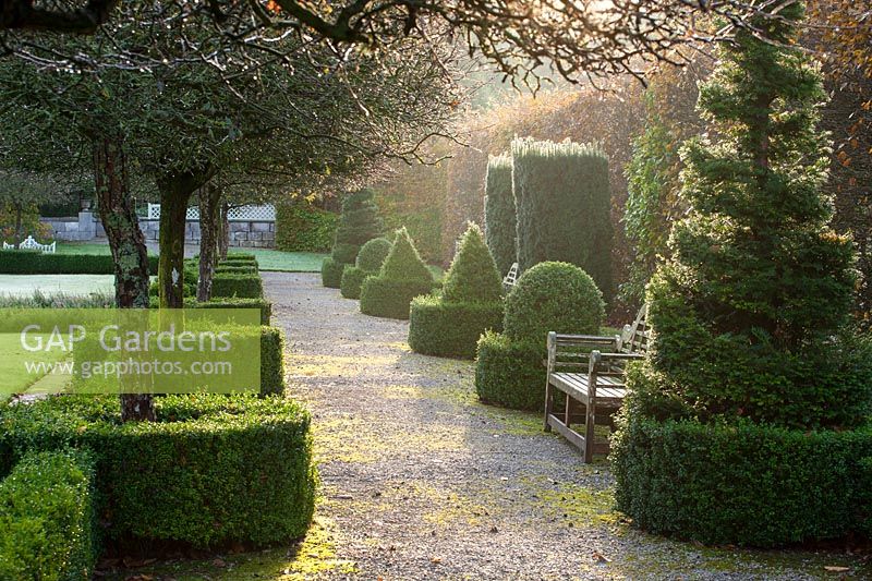 Line of topiary shapes either side of a path in autumn morning light
