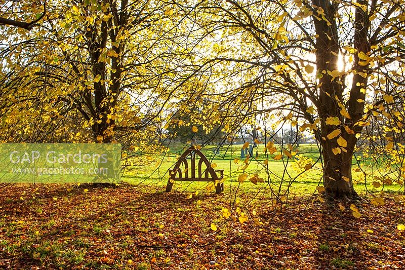 Wooden seat in woodland in autumn
