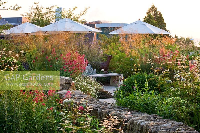 Limestone walls with Centranthus ruber and Stipa gigantea in summer garden