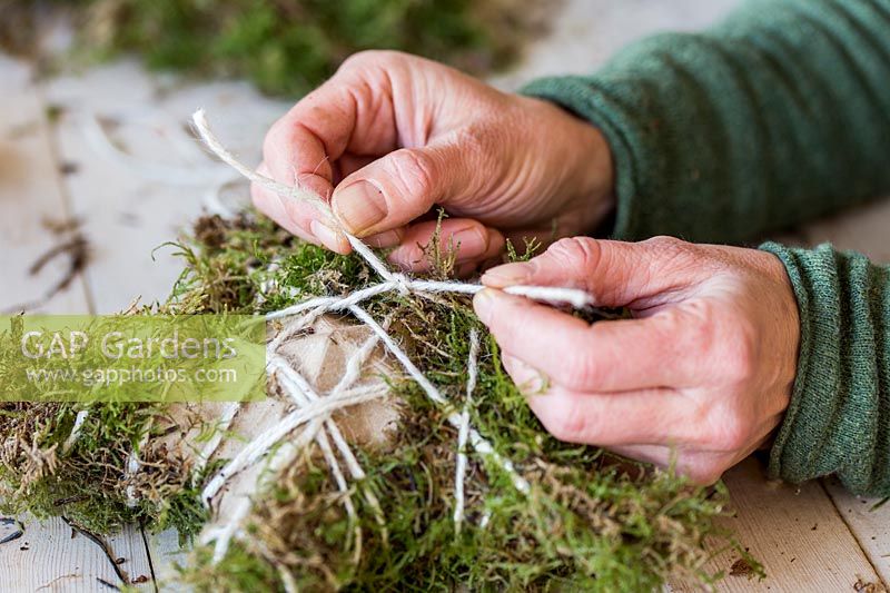 Close up detail of tying off string on moss covered star