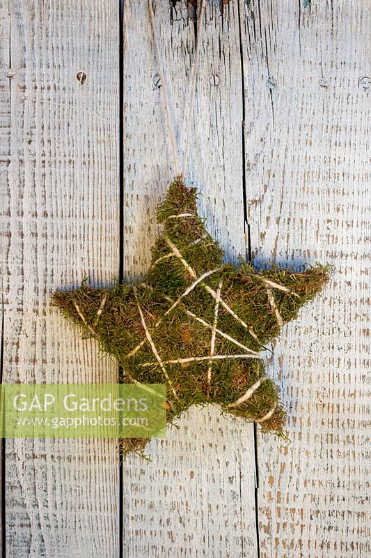 Moss star on rustic wooden surface