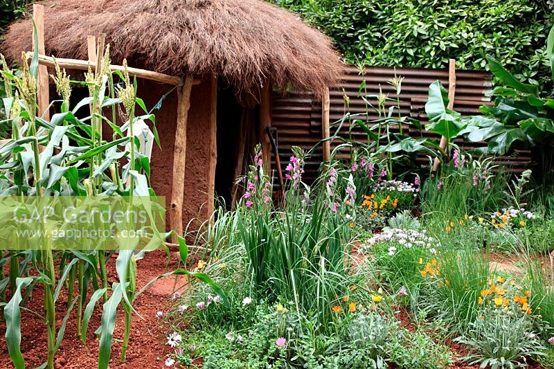 RHS Chelsea 2012 - The Herbert Smith Garden for WaterAid designed by Patricia Thirion and Janet Honour