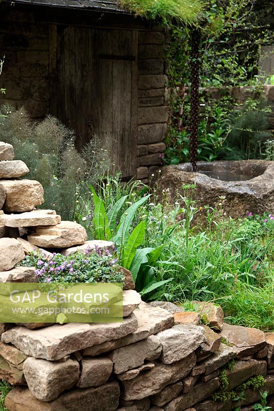 The Veolia Water Garden designed by Vicky Harris - Veolia Water Naturally Dry Â- a garden inspired by William Wordsworth RHS Chelsea Flower Show 2012