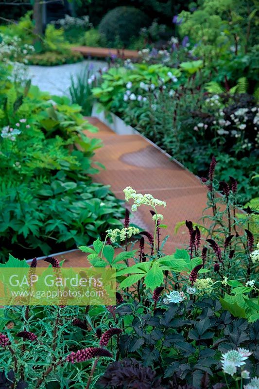 RHS Chelsea Flower Show 2014 - RBC Waterscape Garden Â- Embrace the Rain. Designer Hugo Bugg. Show Garden