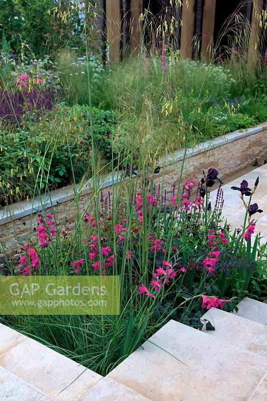 RHS Chelsea Flower Show 2014 - Cloudy Bay Sensations Garden - Cloudy Bay Designers - Gavin McWilliam and Andrew Wilson. Show Garden
