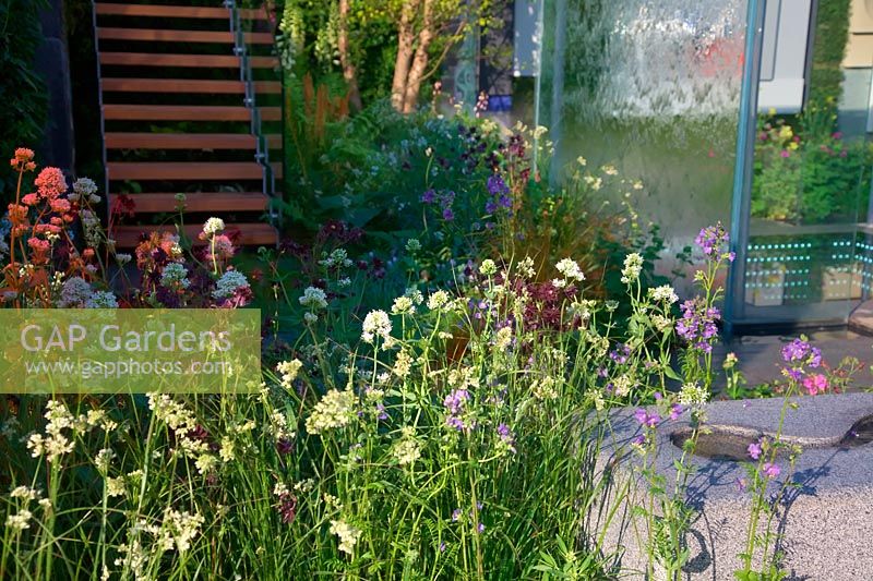 RHS Chelsea Flower Show 2014 - The Mind's Eye - RNIB in partnership with Countryside Properties. Designer Countryside Properties  - UK -  Limited. Fresh Garden