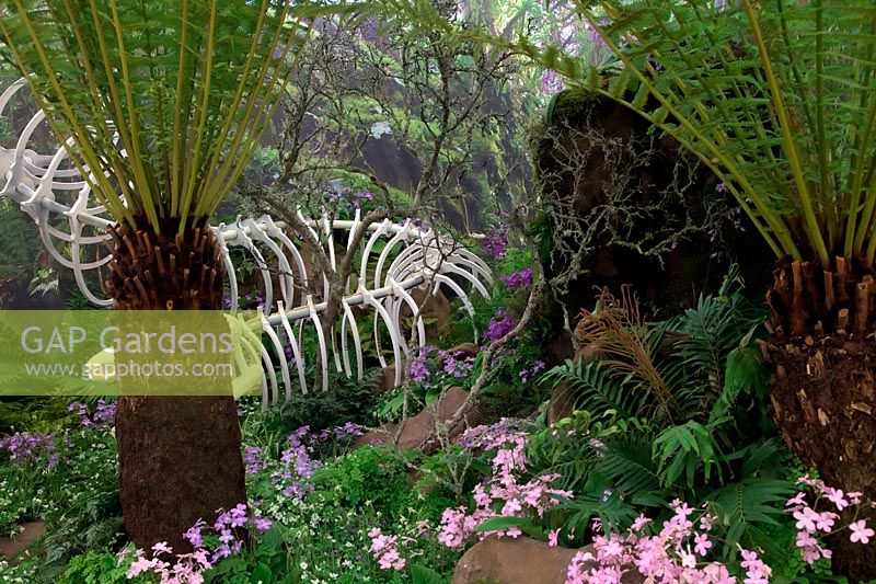 Kirstenbosch Botanic Garden display at RHS Chelsea 2014