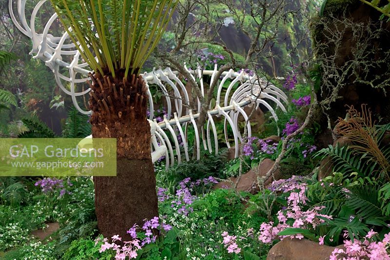 Kirstenbosch Botanic Garden display at RHS Chelsea 2014