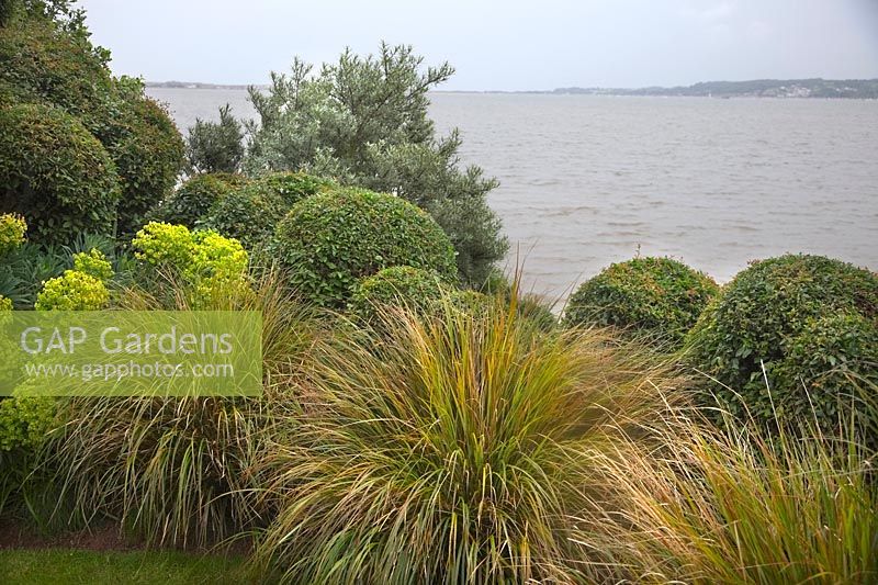 The Lookout at Lympstone on a damp and grey June open day for the NGS