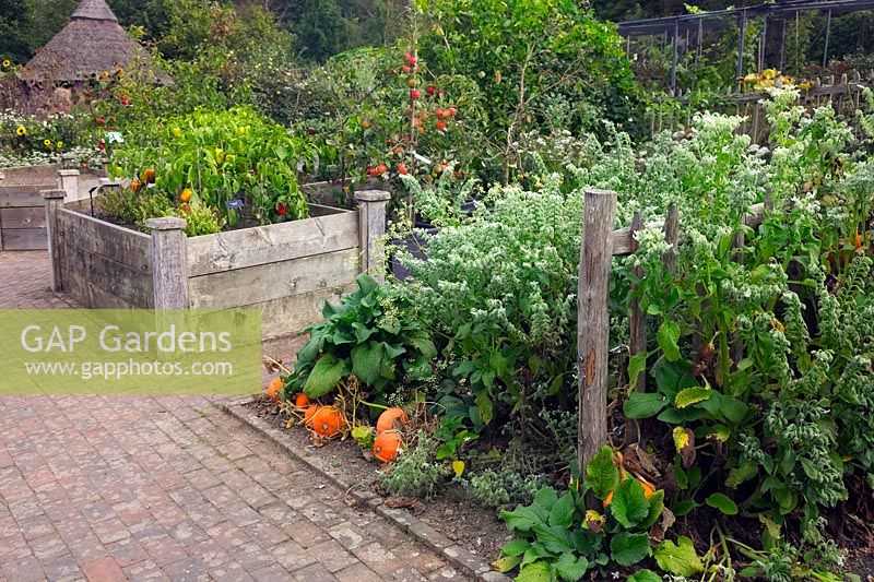 Vegetable Garden at RHS Rosemoor in September