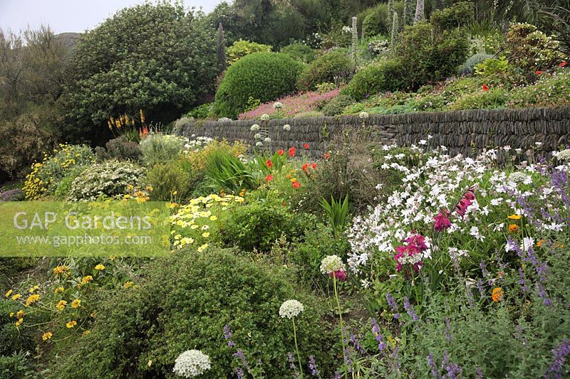 Coastal garden on North Devon coast Foamlea, Mortehoe