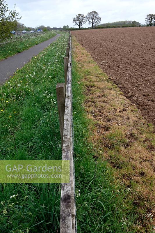 Intensive land use with fields sprayed right up to the fence with glyphosate and large areas devoted to tarmac and roads means little space and habitat for wildlife - East Devon in spring
