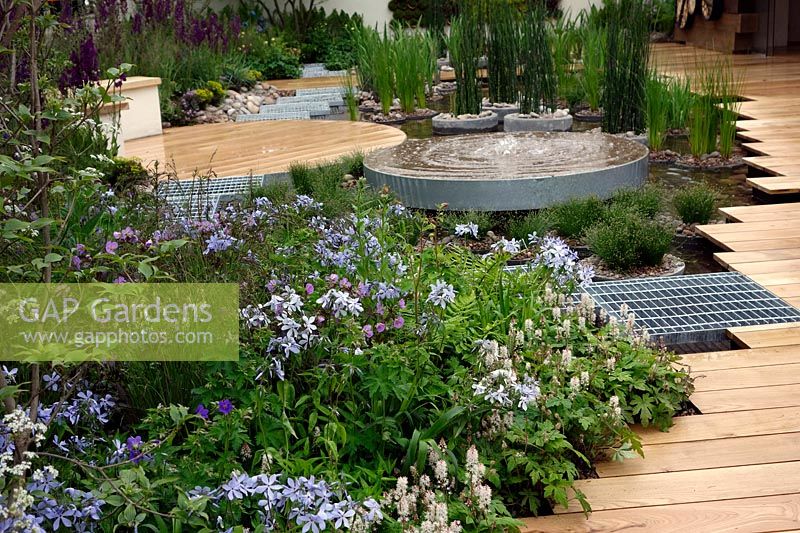 RBC Blue Water Roof Garden, Exhibitor: Royal Bank of Canada, Designer: Professor Nigel Dunnett and the Landscape Agency Gold Medal winner