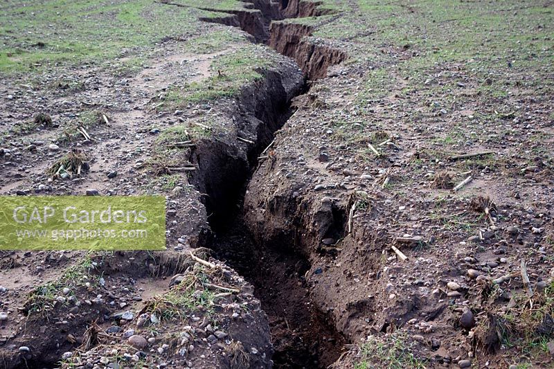 Severe soil erosion in Devon UK - February 4 2014 on steep field with inadequate crop establishment prior to heavy winter rains - gullies in excess of 150cm deep