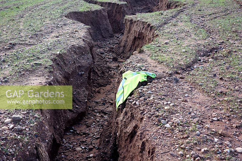 Severe soil erosion in Devon UK - February 4 2014 on steep field with inadequate crop establishment prior to heavy winter rains - gullies in excess of 150cm deep. Hi-viz vest shows scale