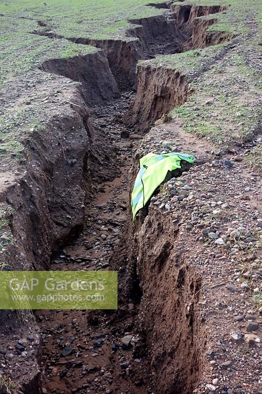 Severe soil erosion in Devon UK - February 4 2014 on steep field with inadequate crop establishment prior to heavy winter rains - gullies in excess of 150cm deep. Hi-viz vest shows scale