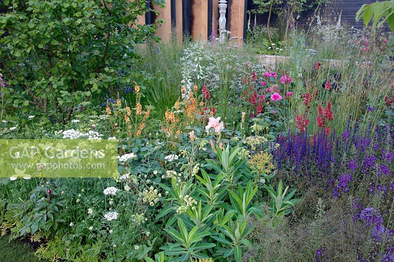 RHS Chelsea Flower Show 2014 - Cloudy Bay Sensations Garden - Cloudy Bay Designers - Gavin McWilliam and Andrew Wilson. Show Garden