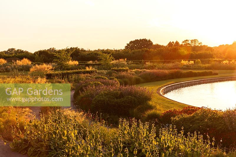 Evening light on the Lake and Glasshouse Landscape designed by Tom Stuart-Smith, RHS Gardens Wisley