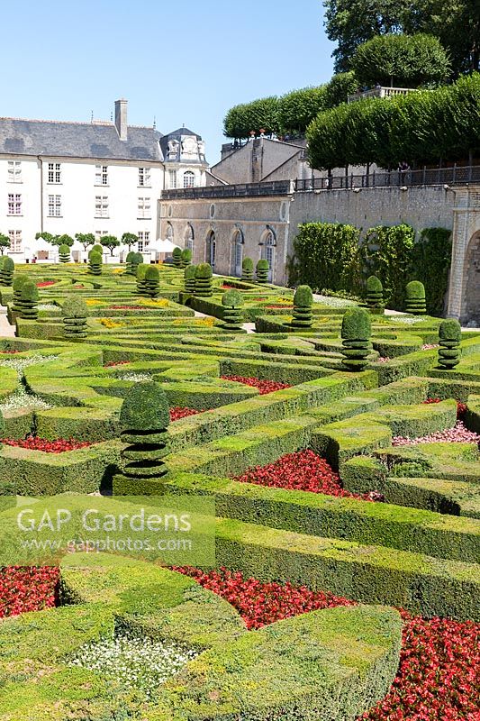 Formal parterre gardens at the Chateau de Villandry, Loire Valley, France. A UNESCO World Heritage Site